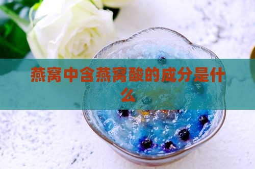 含燕窝酸的糖质是什么