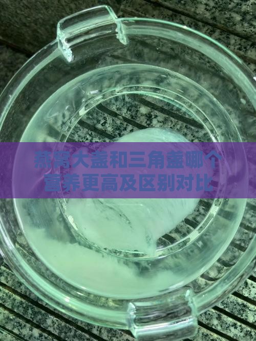 燕窝大盏和三角盏哪个