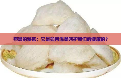 介绍燕窝发言怎么说好听