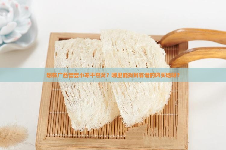 广西小冻干燕窝哪里买