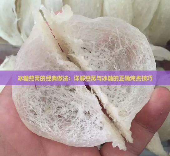 冰糖燕窝的怎么样做法