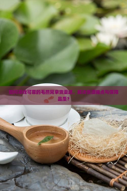 毛燕窝拿货渠道有哪些