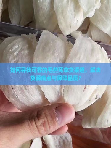 毛燕窝拿货渠道有哪些