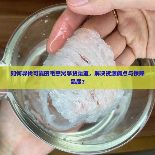 毛燕窝拿货渠道有哪些