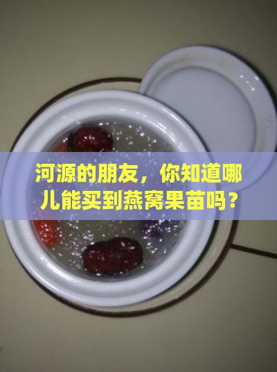 河源哪里有卖燕窝果苗