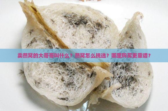 卖燕窝的大哥哥叫什么