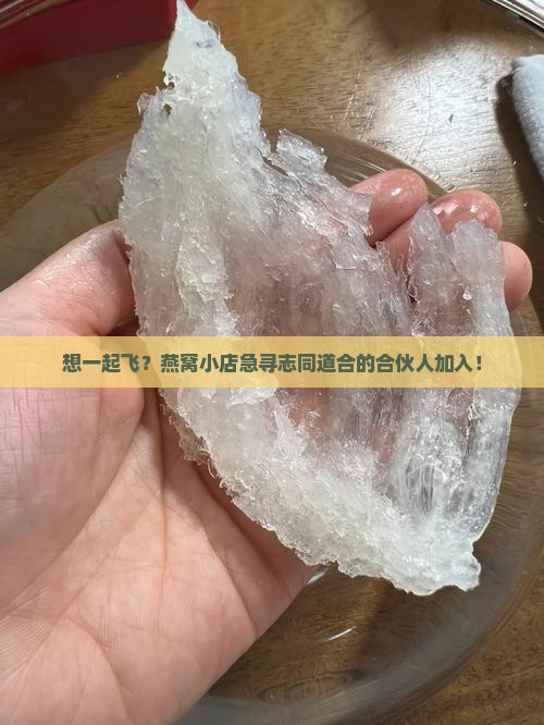 燕窝店招合伙人要怎么找
