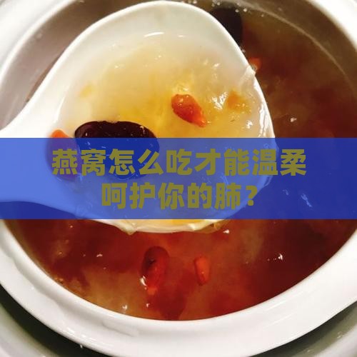 要想润肺燕窝该怎么做
