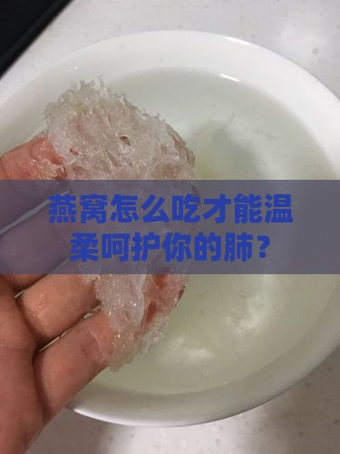 要想润肺燕窝该怎么做