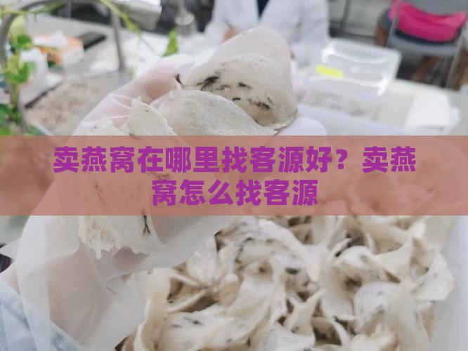 卖燕窝在哪里找客源好