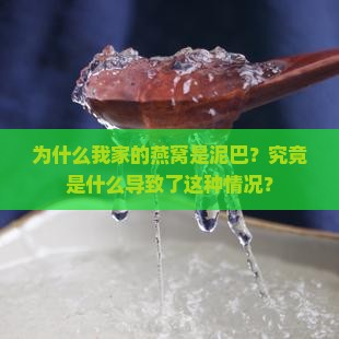 为什么我家的燕窝是泥巴