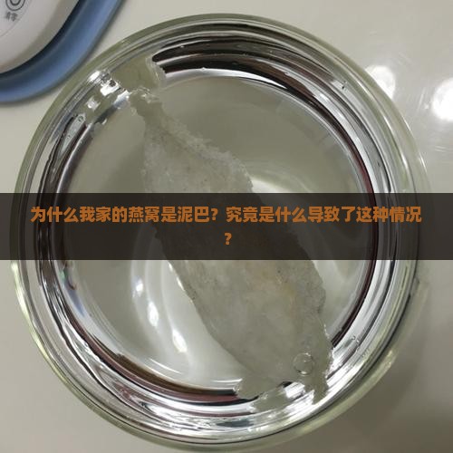 为什么我家的燕窝是泥巴