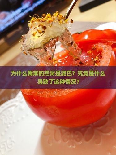 为什么我家的燕窝是泥巴