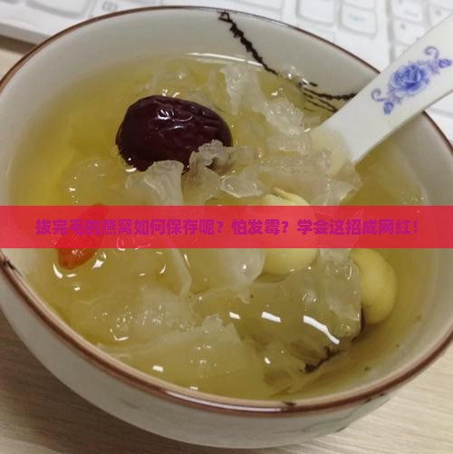 拔完毛的燕窝如何保存呢