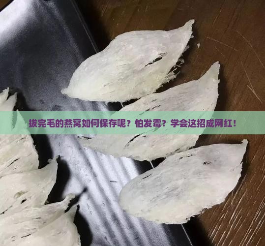 拔完毛的燕窝如何保存呢