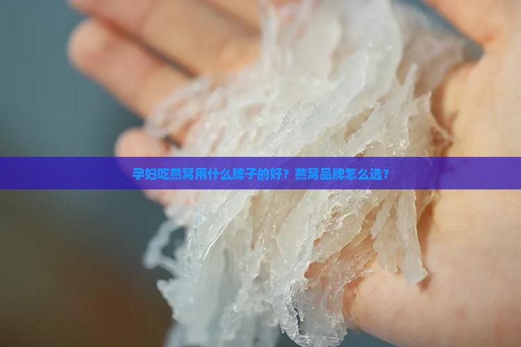 孕妇燕窝用什么牌子好