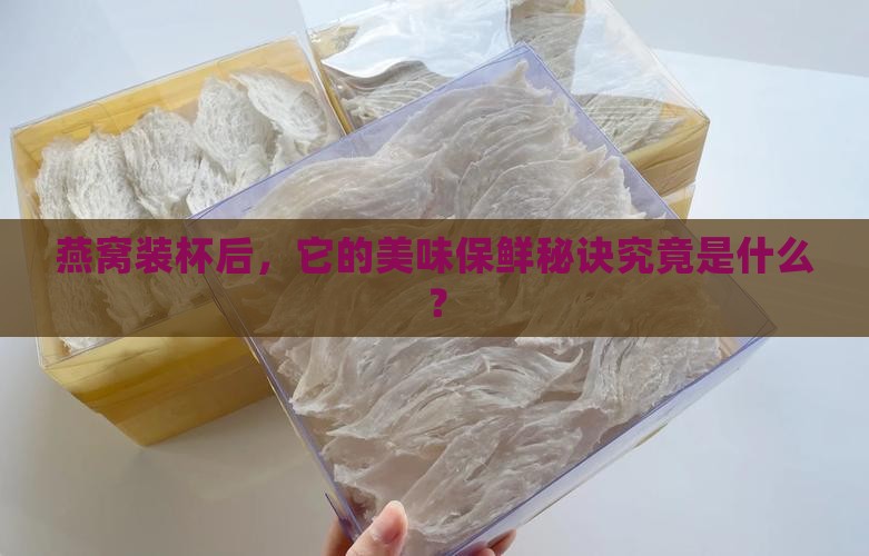 杯子装的燕窝能放多久啊