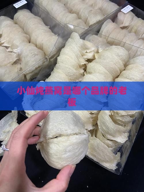 小仙炖燕窝是哪个老板