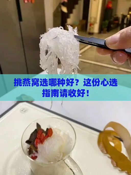 燕窝选什么品种比较好