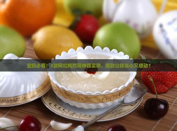 怎么炖燕窝神器推荐品牌