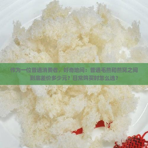 毛燕和燕窝的价格差多少