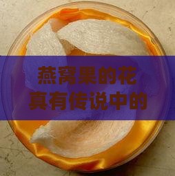燕窝果的花有什么药性