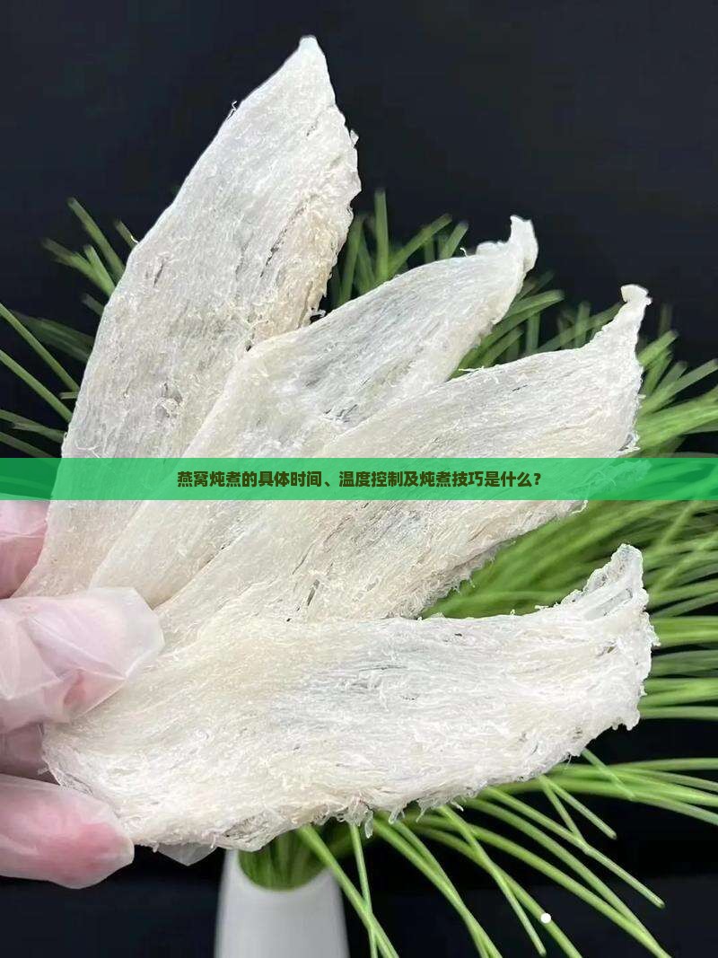 燕窝的炖煮时间是多久