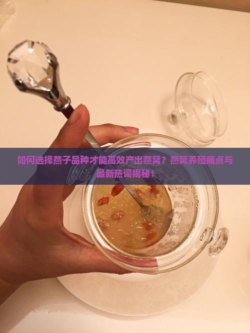 养什么燕子有燕窝好养