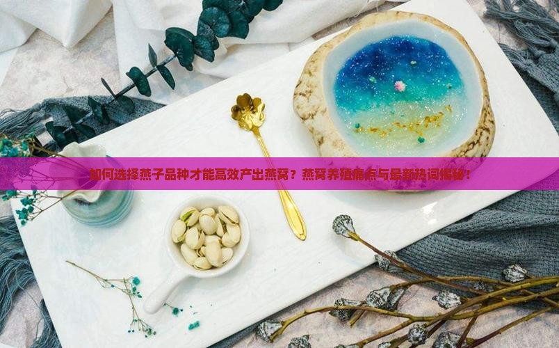 养什么燕子有燕窝好养