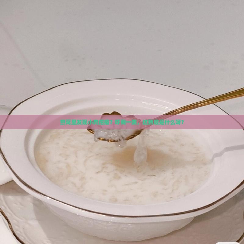 燕窝里的小肉疙瘩是什么