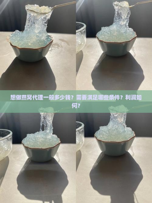 想做燕窝代理一般多少钱 想做燕窝代理一般多少钱