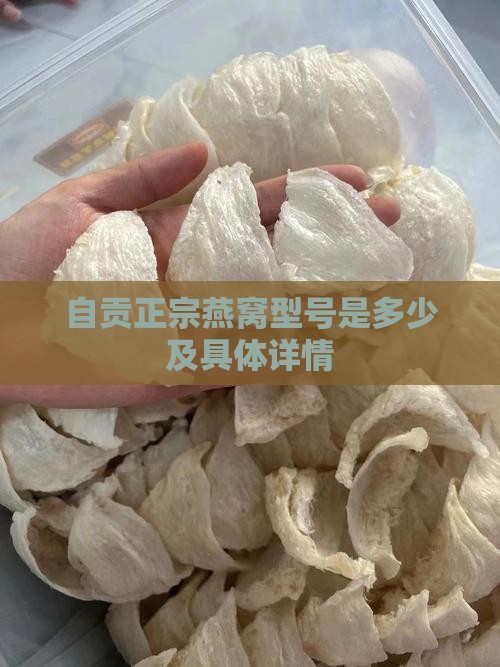 自贡正宗燕窝型号是多少