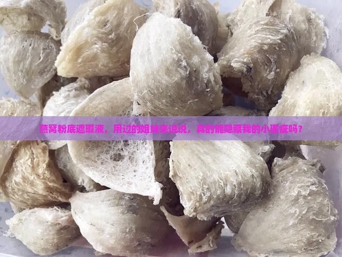 燕窝粉底遮瑕液怎么样啊