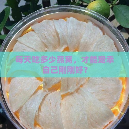 燕窝一天食量多少克为宜