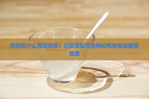 燕窝加什么治咳喘好呢
