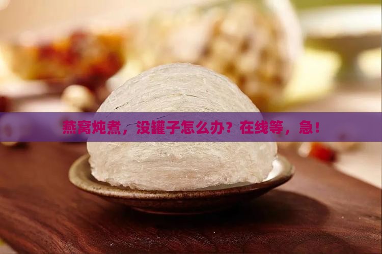 没有罐子怎么煮燕窝呢