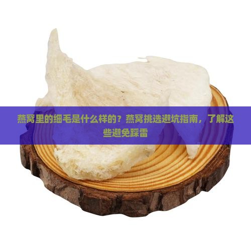 燕窝里的细毛是什么样的