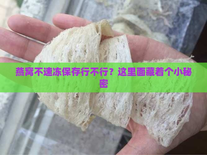 燕窝为什么要速冻保存呢