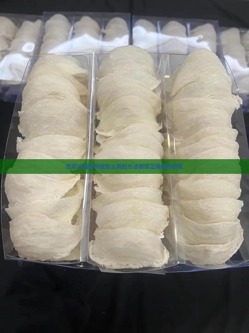 燕窝冰箱储存罐怎么用的