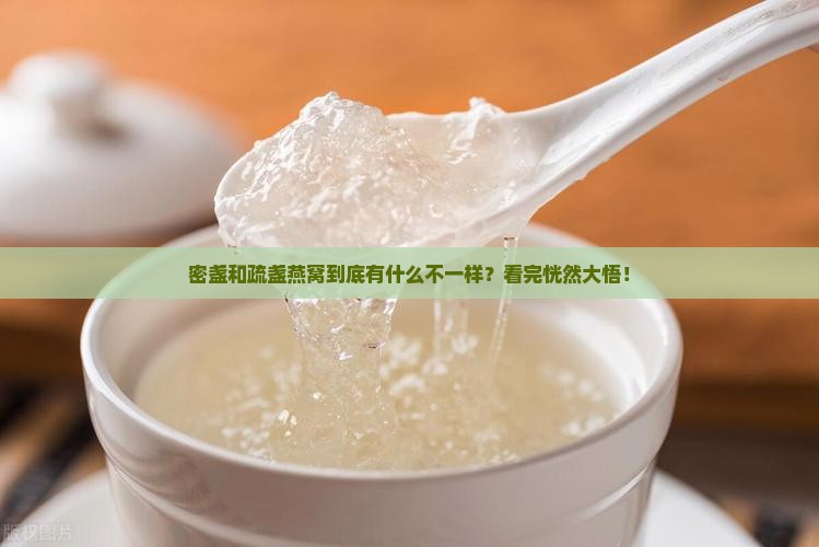 密盏和疏盏燕窝怎么看