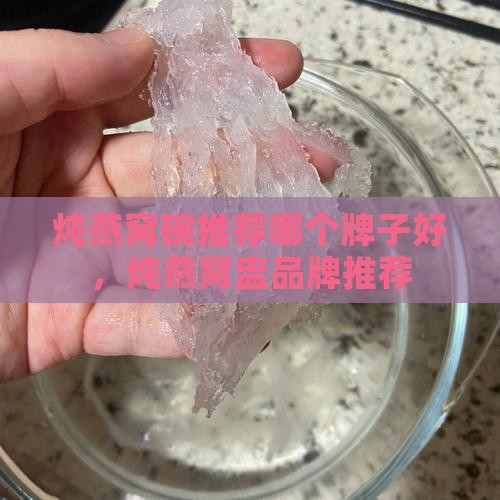 炖燕窝碗推荐哪个牌子好