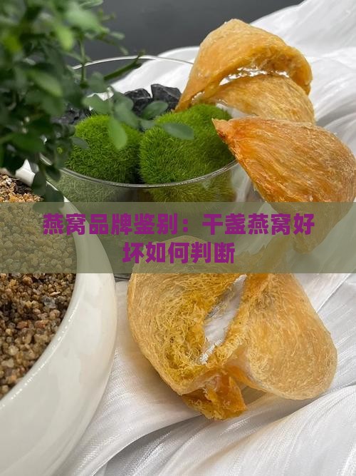 燕窝干盏怎么看品牌好坏