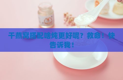 干燕窝和什么炖比较好