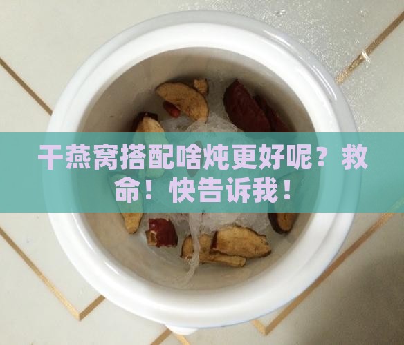 干燕窝和什么炖比较好