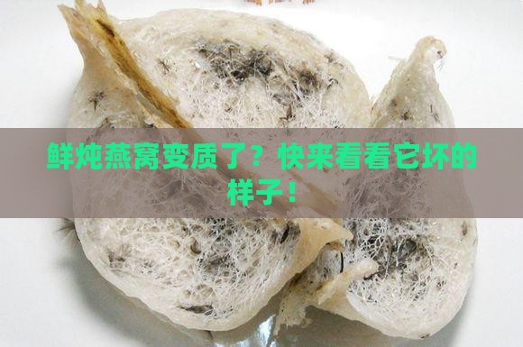 鲜炖燕窝坏了是什么样子