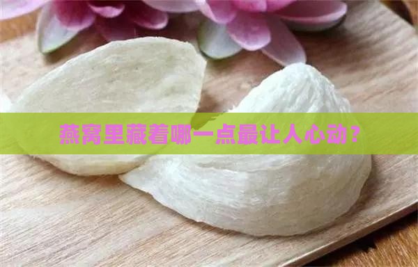 燕窝最珍贵的地方是什么