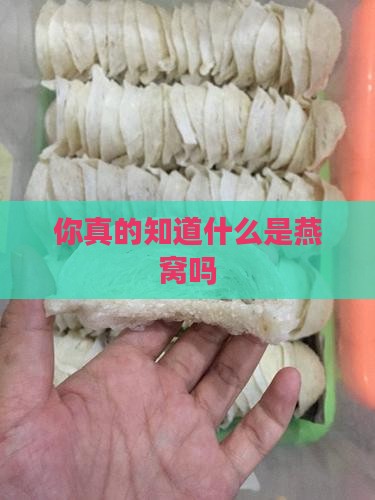 你真的知道什么是燕窝吗