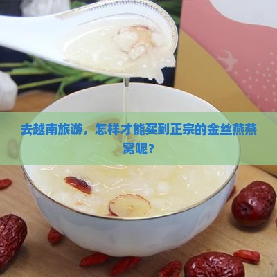 越南怎么买金丝燕燕窝呢