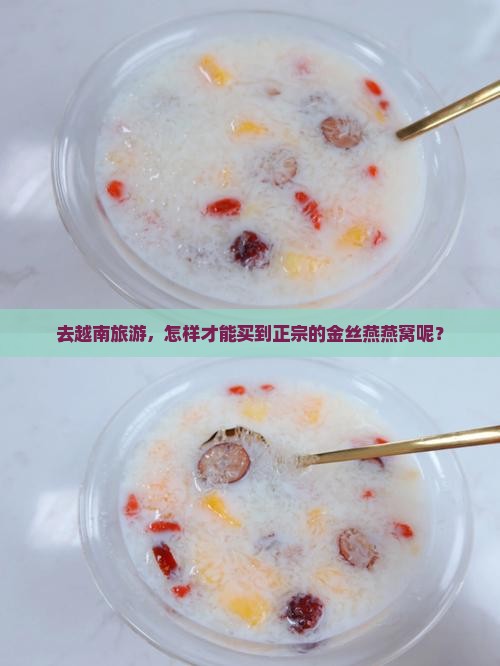 越南怎么买金丝燕燕窝呢