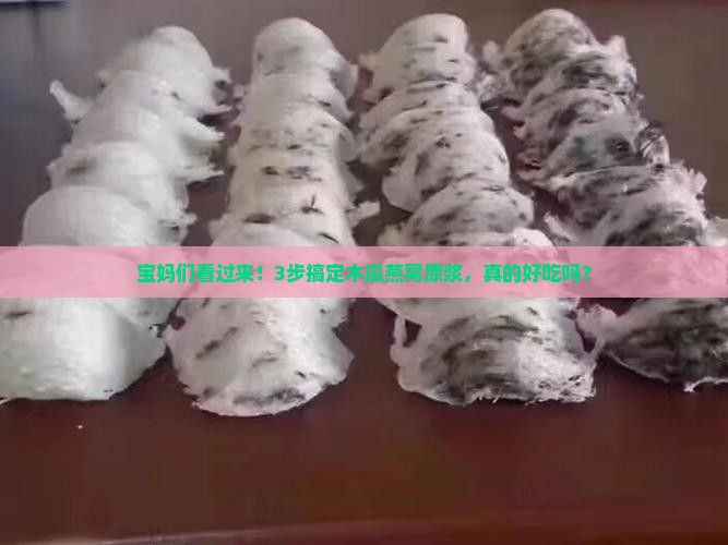 木瓜燕窝原浆怎么做的 木瓜燕窝原浆怎么做的